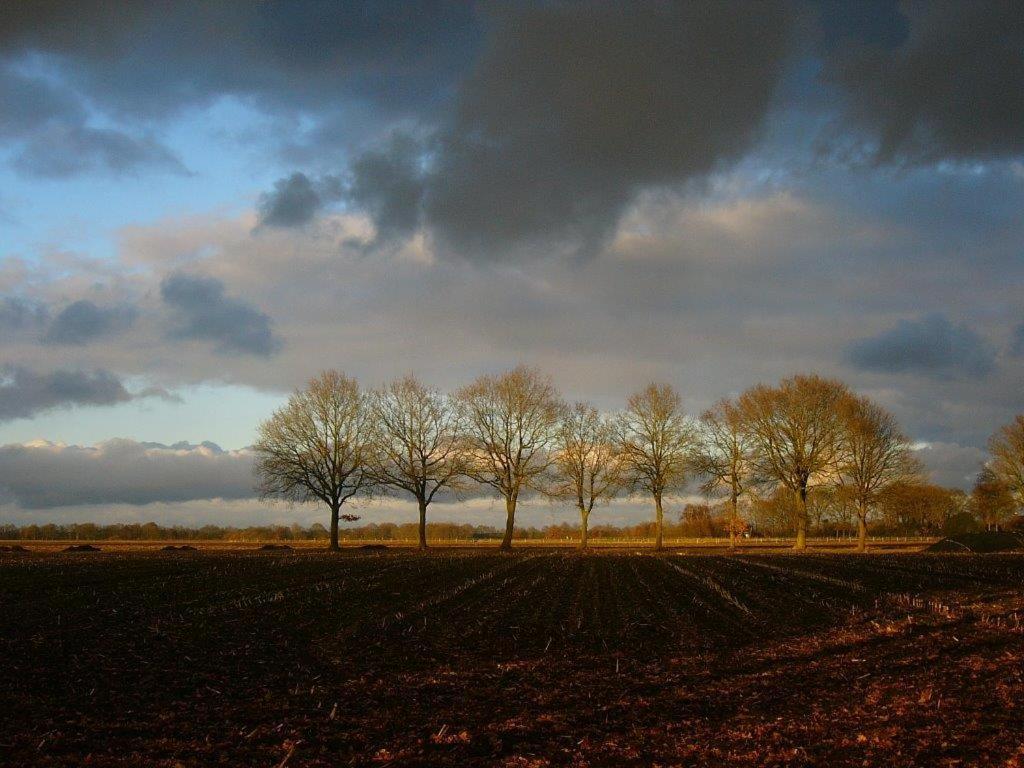 Onder de Linde, Rust, Natuur en Privacy Benneveld Exterior foto