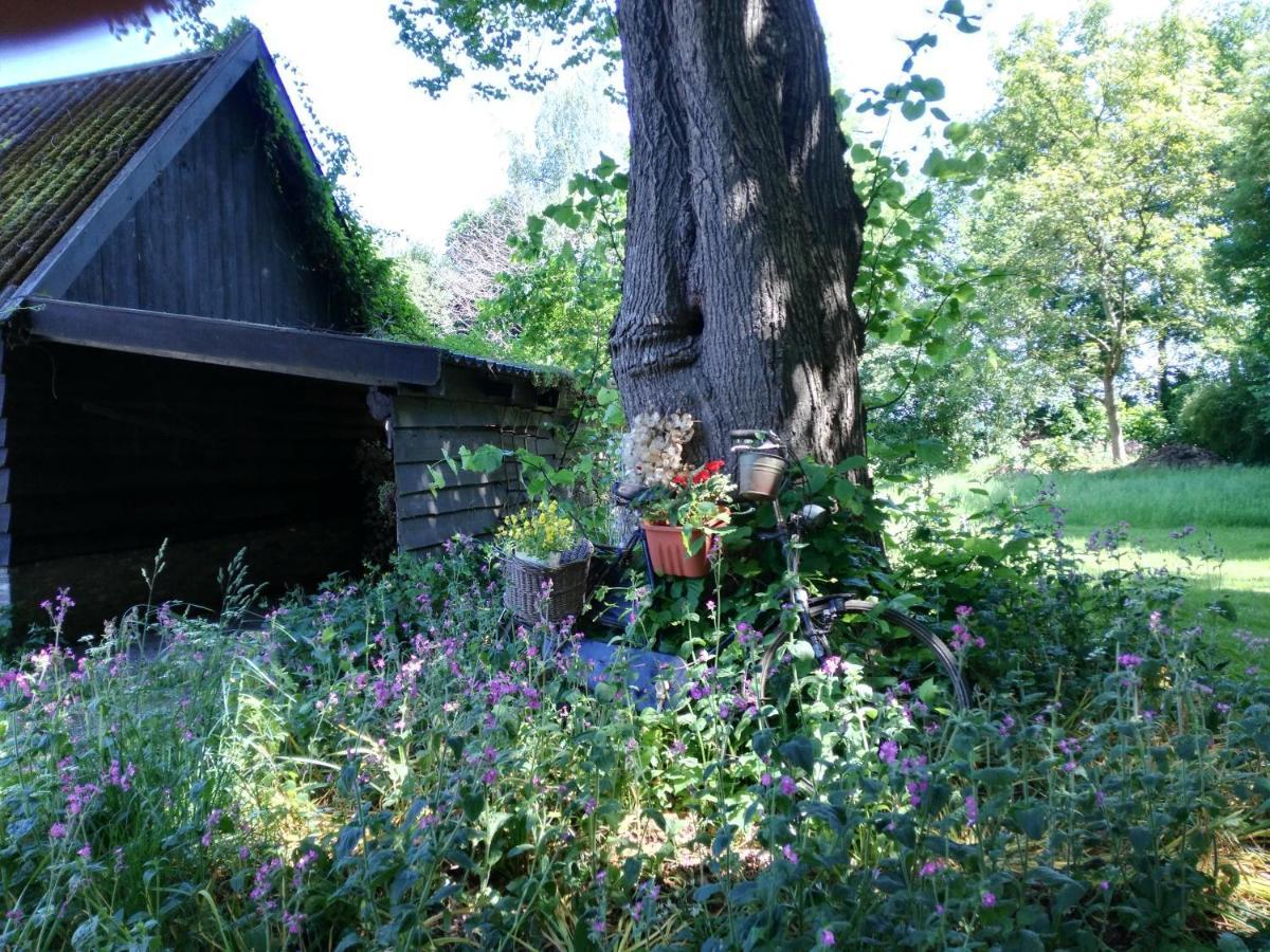 Onder de Linde, Rust, Natuur en Privacy Benneveld Exterior foto